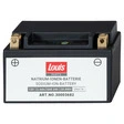 Louis Parts Natrium-Ionen-Batterie