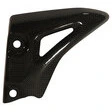 Ilmberger Carbonteile Triumph Speed Triple 11-15