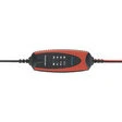 ProCharger 1.000 Lithium