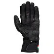 Vanucci Donna IV