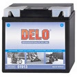 Delo Mikrovlies-Batterie