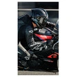 alpinestars S-R10 Solid