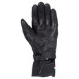 Vanucci Donna IV