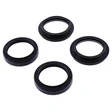 All Balls Racing Gabel Dichtring Satz