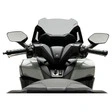 Puig V-Tech Rollerscheibe Sport