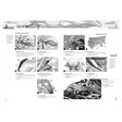 Moto Pool Reparaturanleitung R1200/R1250R/ Rs