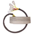 TECNIUM Lithium-Ion Lichtmaschinen-Regler