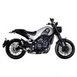Leo Vince LV-10 Auspuffsystem mit EG-BE