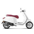 Akrapovic Scooter-Line Auspuffsystem mit EG-BE