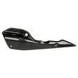 Akrapovic Hitzeschild