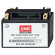 Louis Parts Natrium-Ionen-Batterie