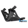 Ilmberger Carbonteile für Aprilia Tuono V4 ab 2011
