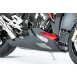 Ilmberger Carbonteile für BMW S1000 R