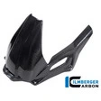 Ilmberger Hinterradabdeckungen Carbon