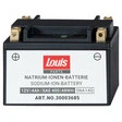 Louis Parts Natrium-Ionen-Batterie
