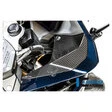 Ilmberger Carbonteile für BMW R1250 R/RS 19-