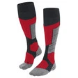 Falke BC1 lang