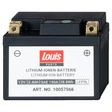 Louis Parts Lithium-Ionen-Batterien