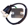 TECNIUM Lithium-Ion Lichtmaschinen-Regler