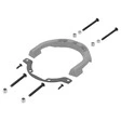 Shad Tankring