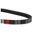 JT DRIVE BELTS JT Belt Keilriemen für Scooter
