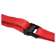 Acebikes Buckle-Up Spanngurt
