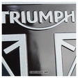 Triumph Blechschild "Original"