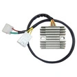 TECNIUM Lithium-Ion Lichtmaschinen-Regler