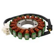 JMP Lichtmaschine Stator für div. Modelle
