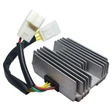 TECNIUM Lithium-Ion Lichtmaschinen-Regler