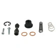 All Balls Racing Hauptbremszylinder Reparatur