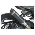 Shark Auspuff Street GP Auspuffsystem EG-BE