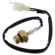 Tourmax Temperatursensor für diverse Modelle
