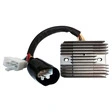 TECNIUM Lithium-Ion Lichtmaschinen-Regler