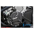 Ilmberger Carbonteile für BMW S1000 R