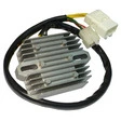 TECNIUM Lithium-Ion Lichtmaschinen-Regler