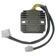 TECNIUM Lithium-Ion Lichtmaschinen-Regler