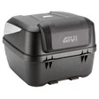 Givi Rueckenpolster für Givi Top-Case