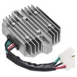 TECNIUM Lithium-Ion Lichtmaschinen-Regler
