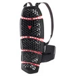 Dainese Pro-Armor 2.0 Back Kurz