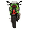 Akrapovic Slip-on Line Auspuffsystem mit EG-BE