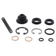 All Balls Racing Hauptbremszylinder Reparatur