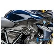 Ilmberger Carbonteile für BMW R1250 R/RS 19-