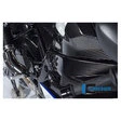 Ilmberger Carbonteile für BMW S1000 RR bis 2018