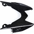 Ilmberger Carbonteile für BMW S1000 R