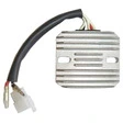 TECNIUM Lithium-Ion Lichtmaschinen-Regler