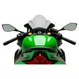 Puig Z-Racing Scheibe