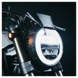 MOTOISM Windschild für CB650R