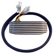 TECNIUM Lithium-Ion Lichtmaschinen-Regler
