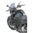 Louis Carbonlook Folie